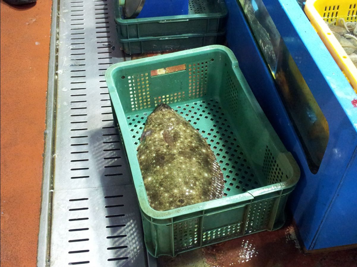 Seafood dinner06